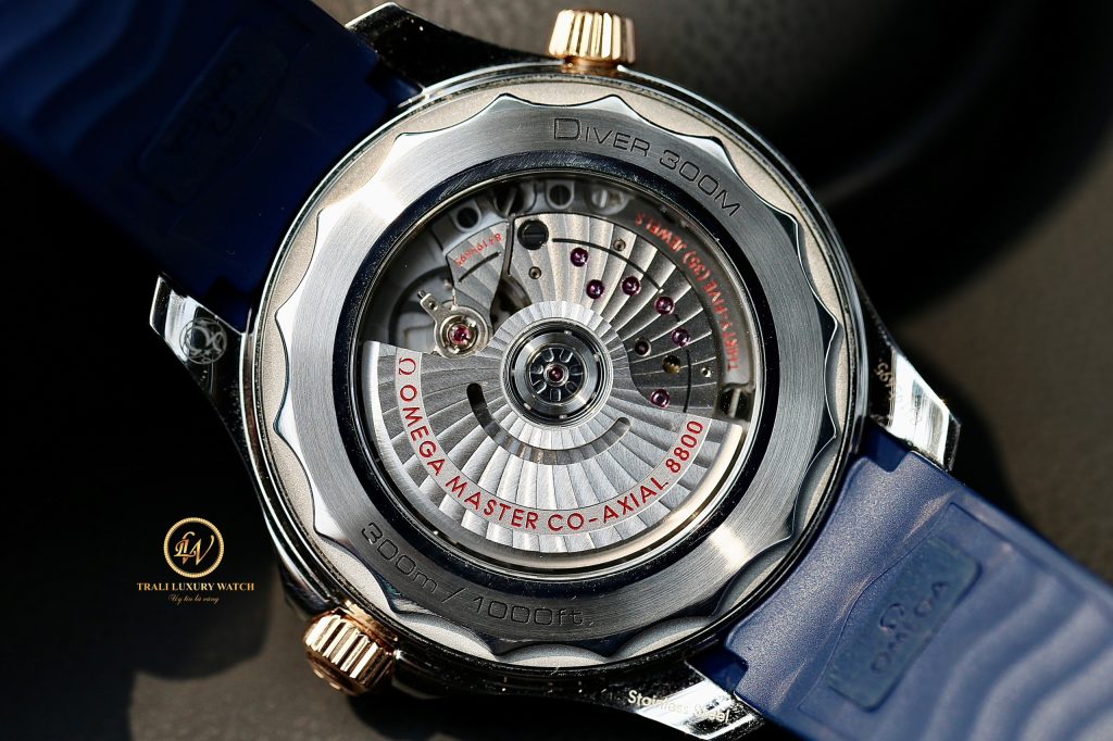 Đồng hồ Omega Seamaster Diver 300M Omega Co-Axial Master Chronometer 210.22.42.20.03.001 đáy
